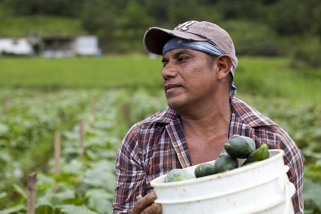 Agriculture Industry Harmed by Restrictive State Immigration Laws