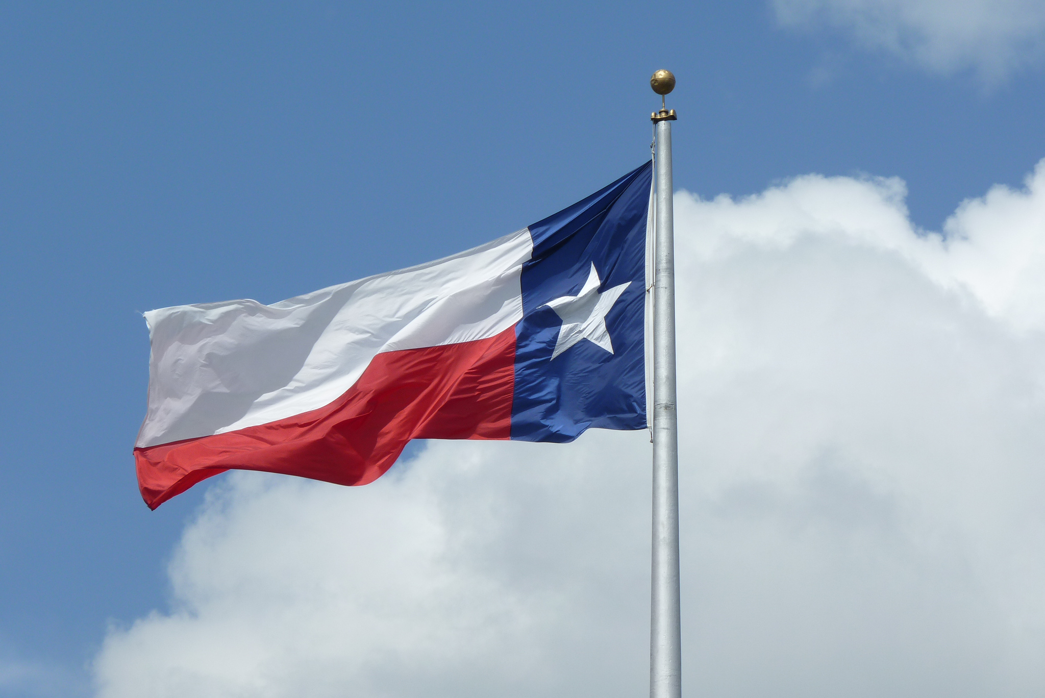 New Report Highlights Immigrant Contributions to the Texas Economy