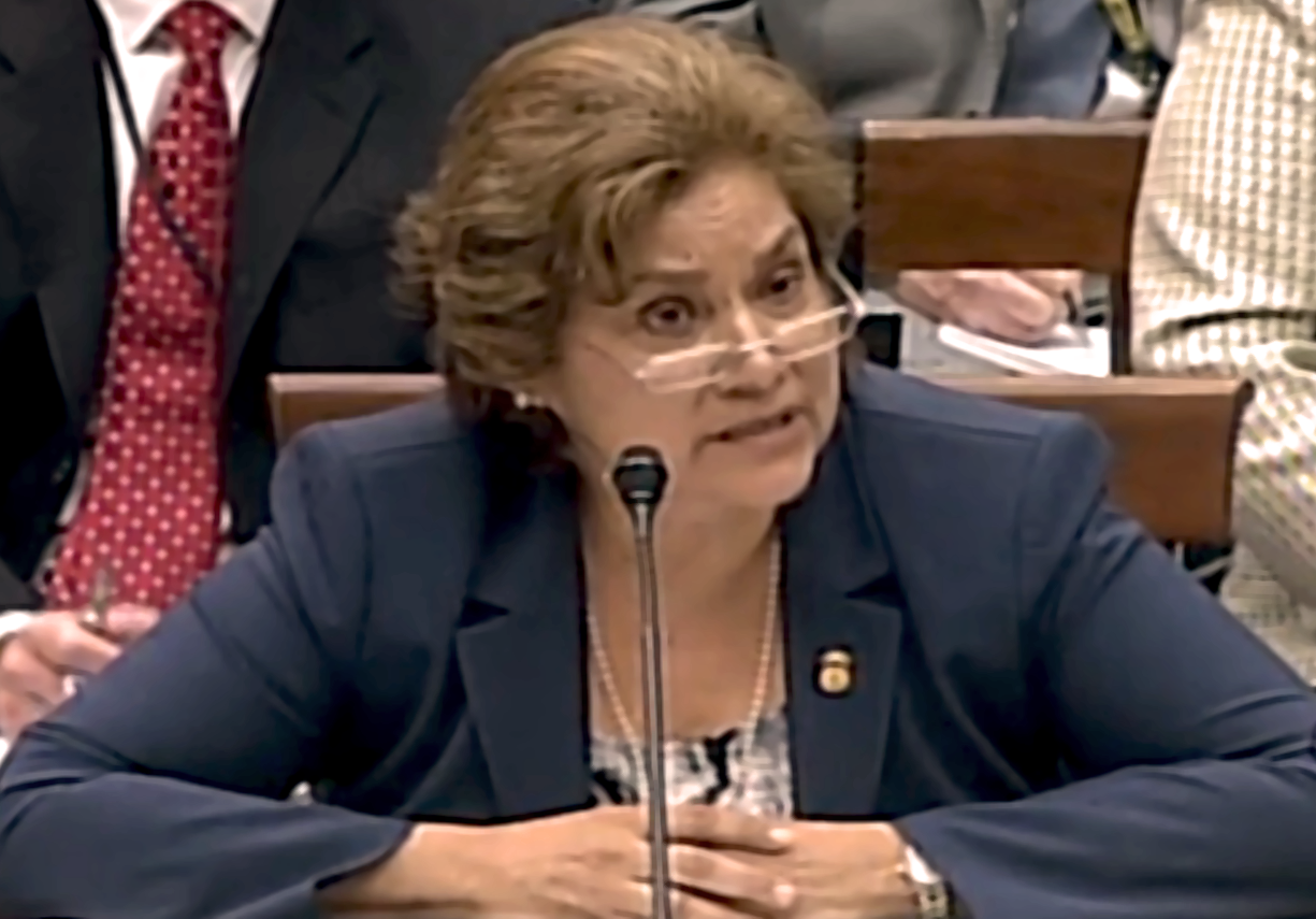 ICE Director Saldaña Faces Critics in Congress