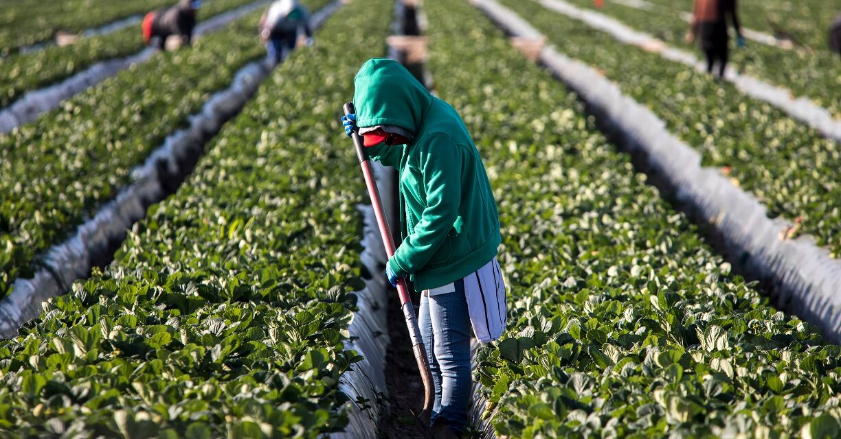 Corrupt US Employers and Smugglers Are Exploiting Migrant Teens for Profit