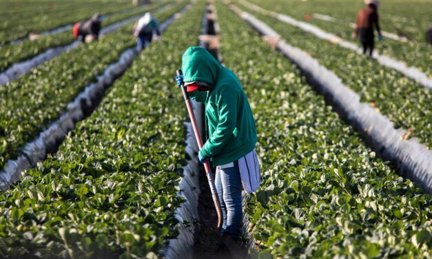 Corrupt US Employers and Smugglers Are Exploiting Migrant Teens for Profit