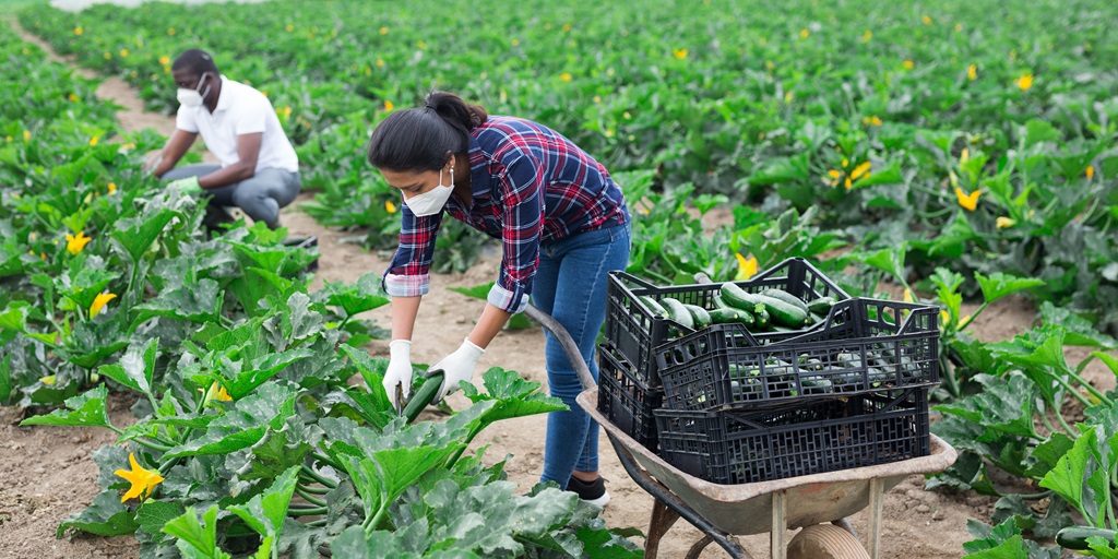 Immigrant Farmworkers: The Hands That Feed America